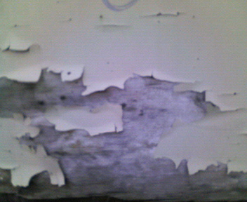 ○○○○○○○○イメージ